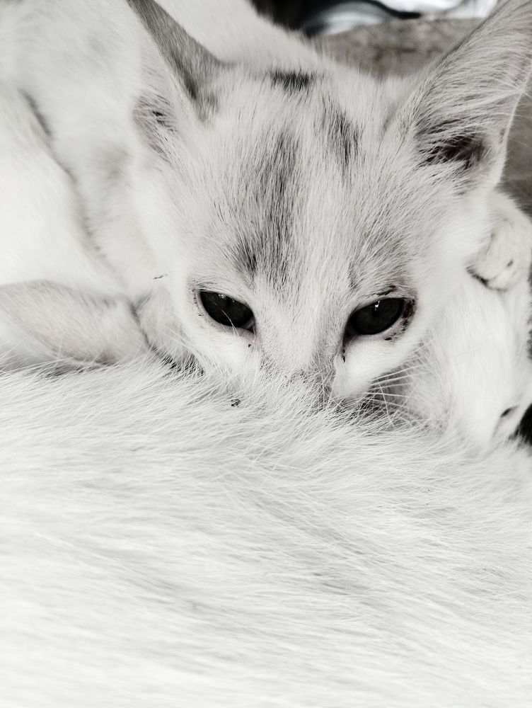 Photograph by Ishaq Karim