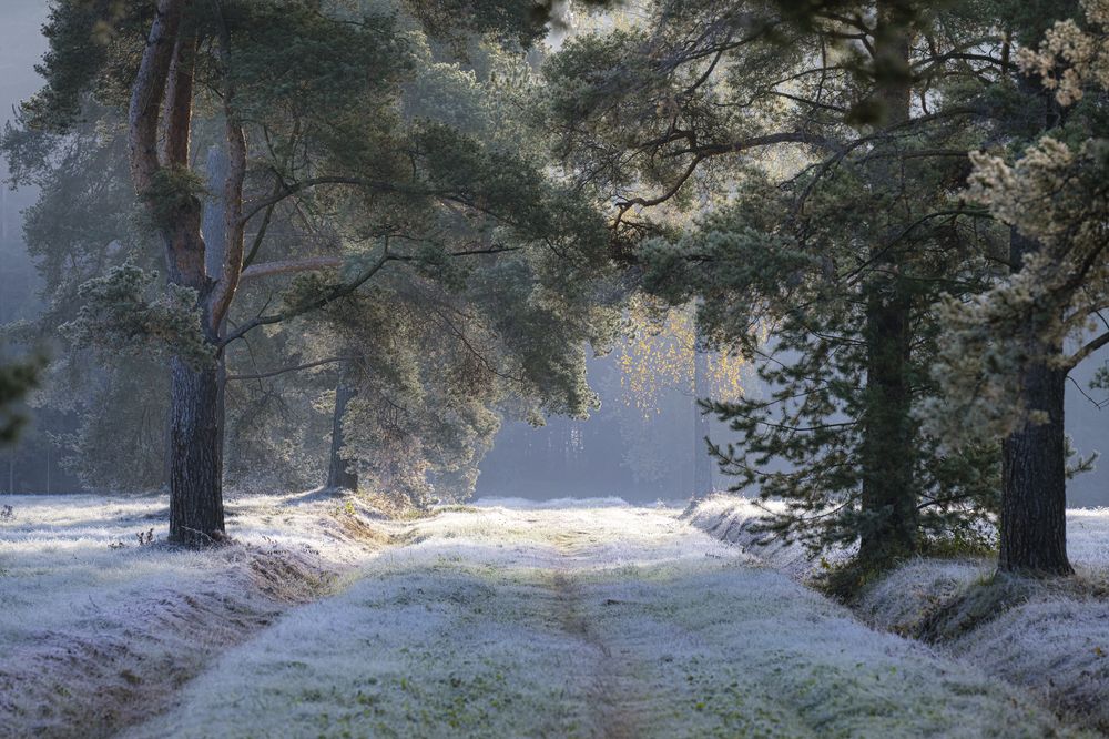 Photograph by Черкасов Александр