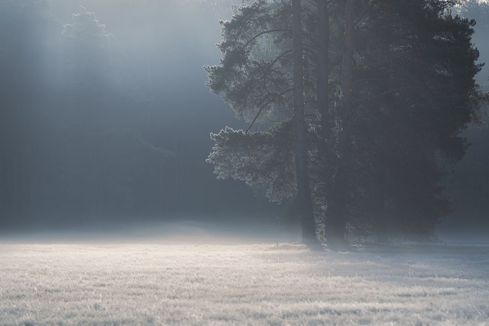 Photograph by Черкасов Александр