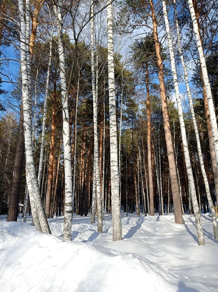 Photograph by НИНА АВЕРЬЯНОВА