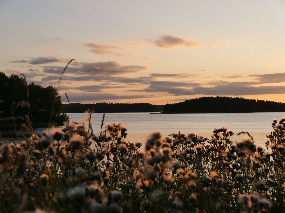 Photograph by Marina Gorbatova