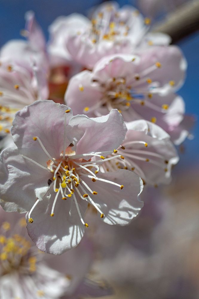 Photograph by Игорь Зиновьев