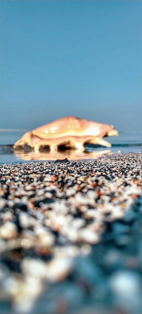 Photograph by Елена Егорова