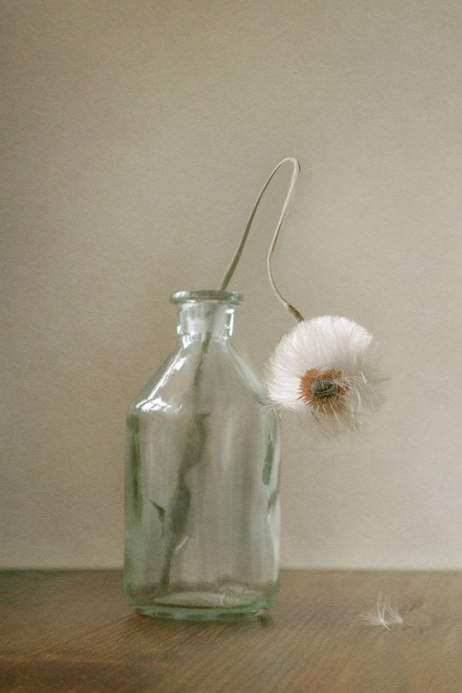 Photograph by Давыдова Алла