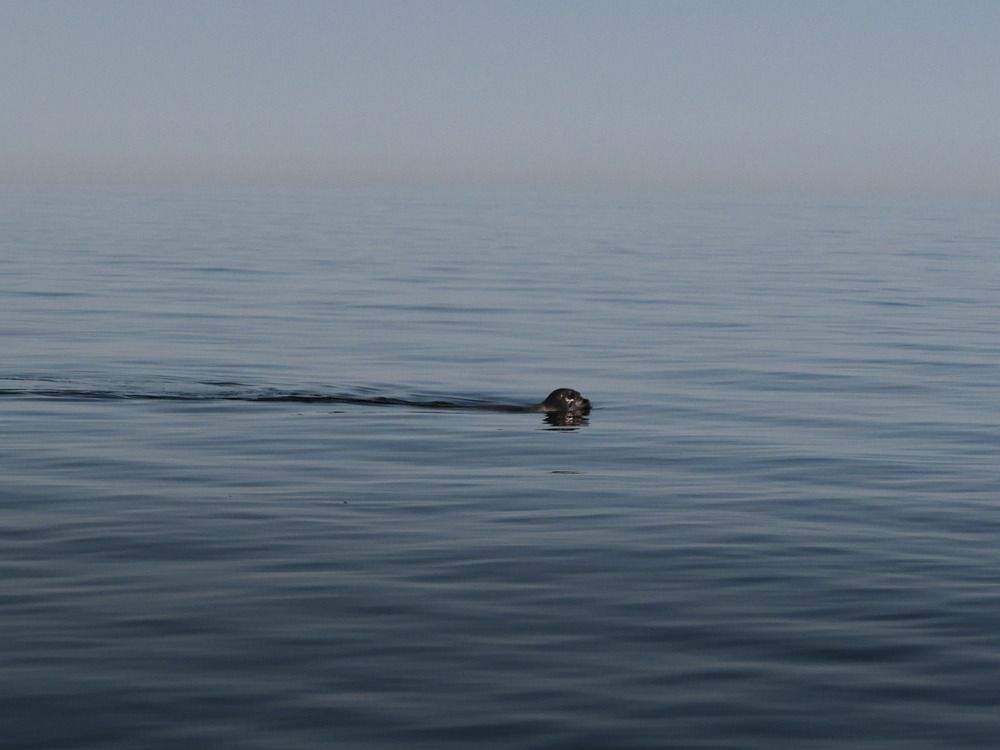 Photograph by Marina Gorbatova
