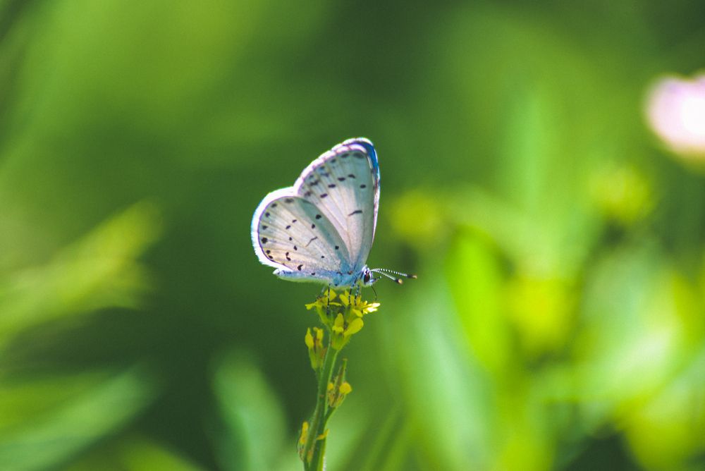 Photograph by Евгения Сенченко