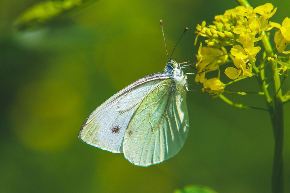 Photograph by Евгения Сенченко