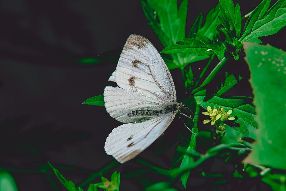 Photograph by Евгения Сенченко