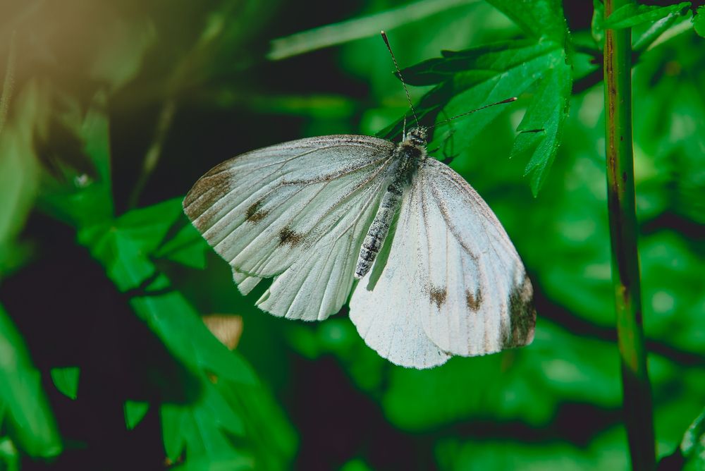 Photograph by Евгения Сенченко