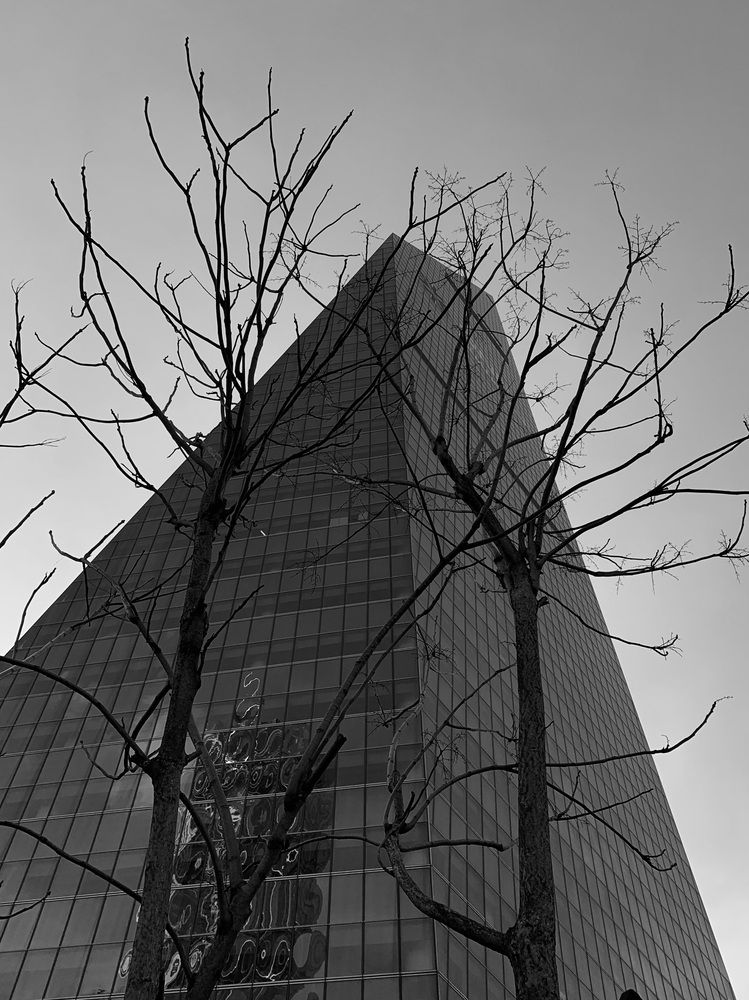 Photograph by Константин Дерюгин