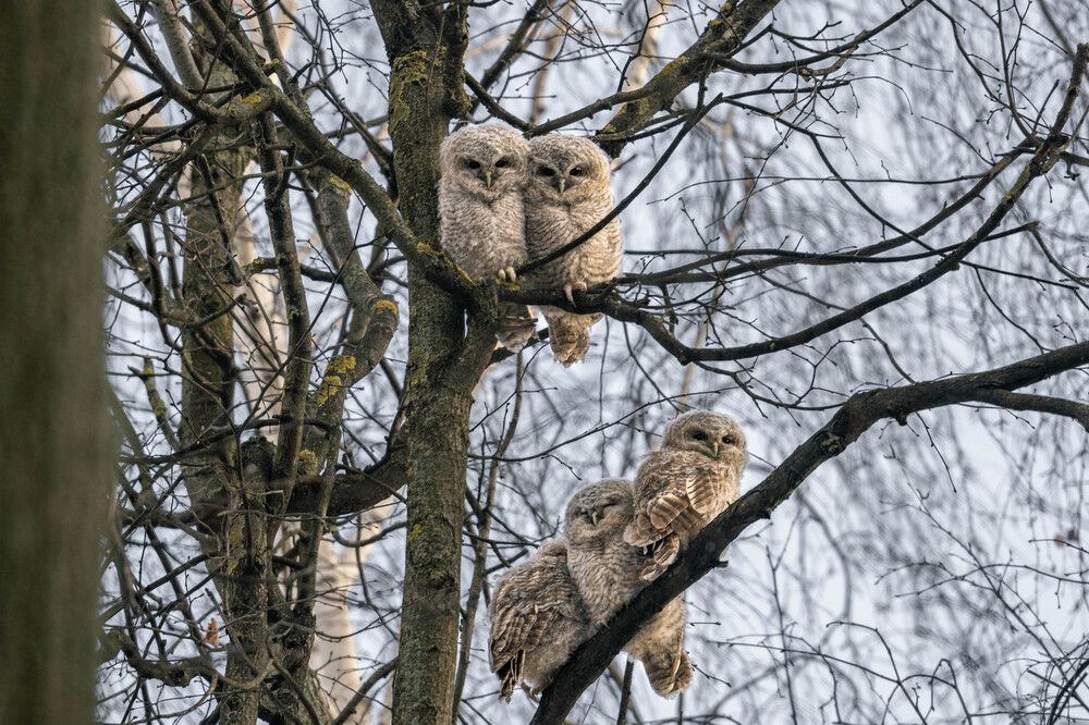 Photograph by Илья Горшенков