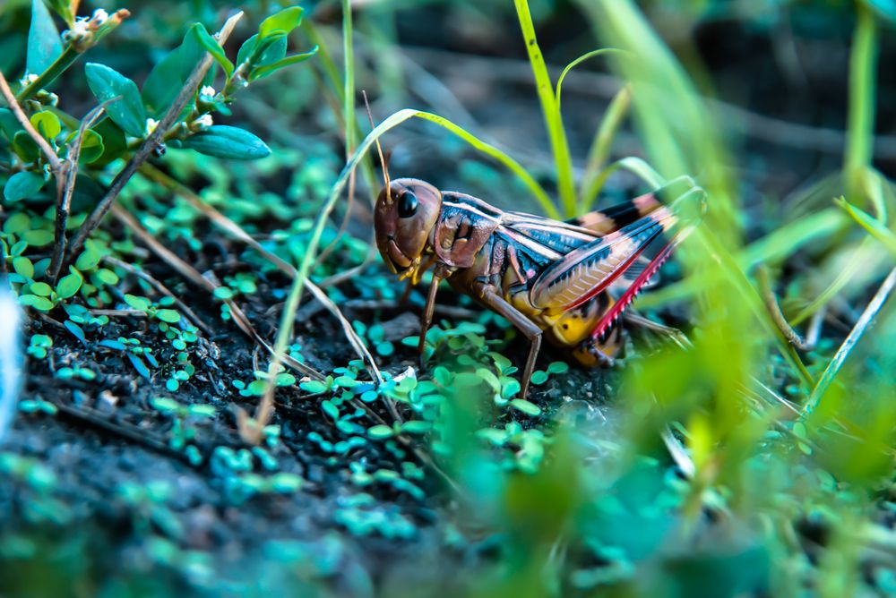 Photograph by Евгения Сенченко