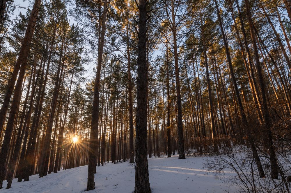 Photograph by Алексей Александрович