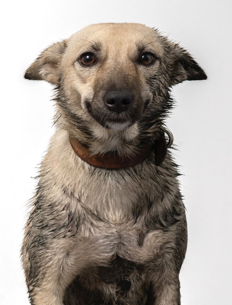 Photograph by Lion House