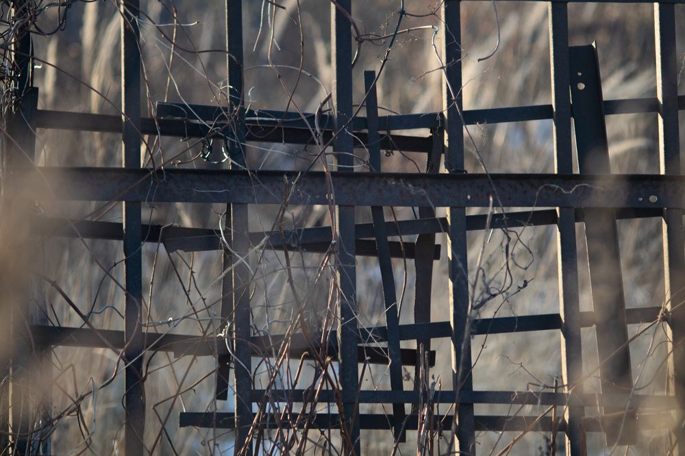 Photograph by Леонид Безручко