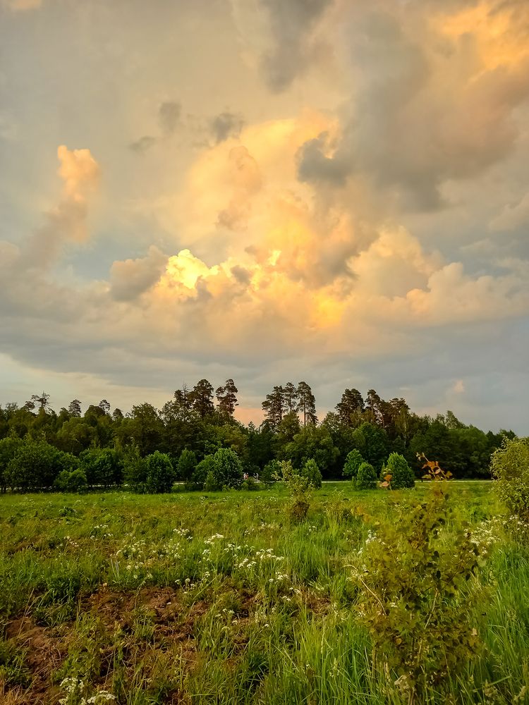 Photograph by Наталья Колеватова