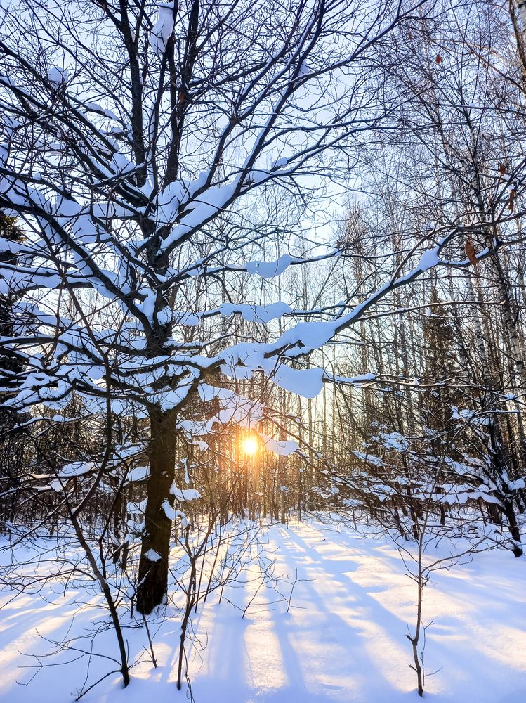 Photograph by Наталья Колеватова