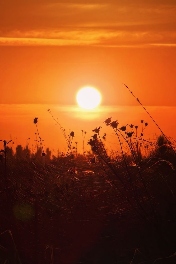 Photograph by Yuliya Karpova