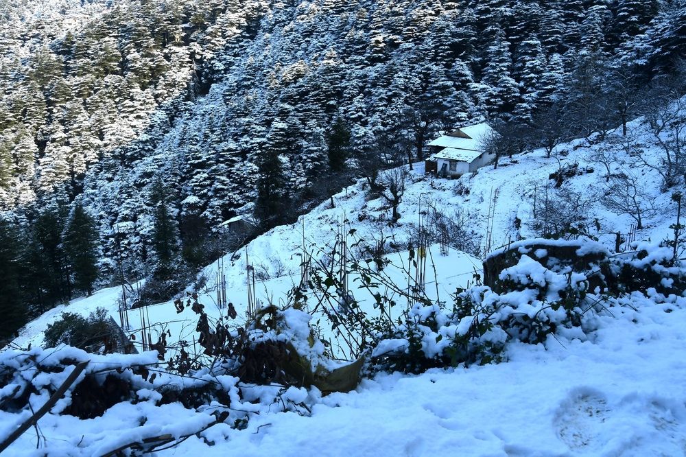 Photograph by Praveen Bhagat