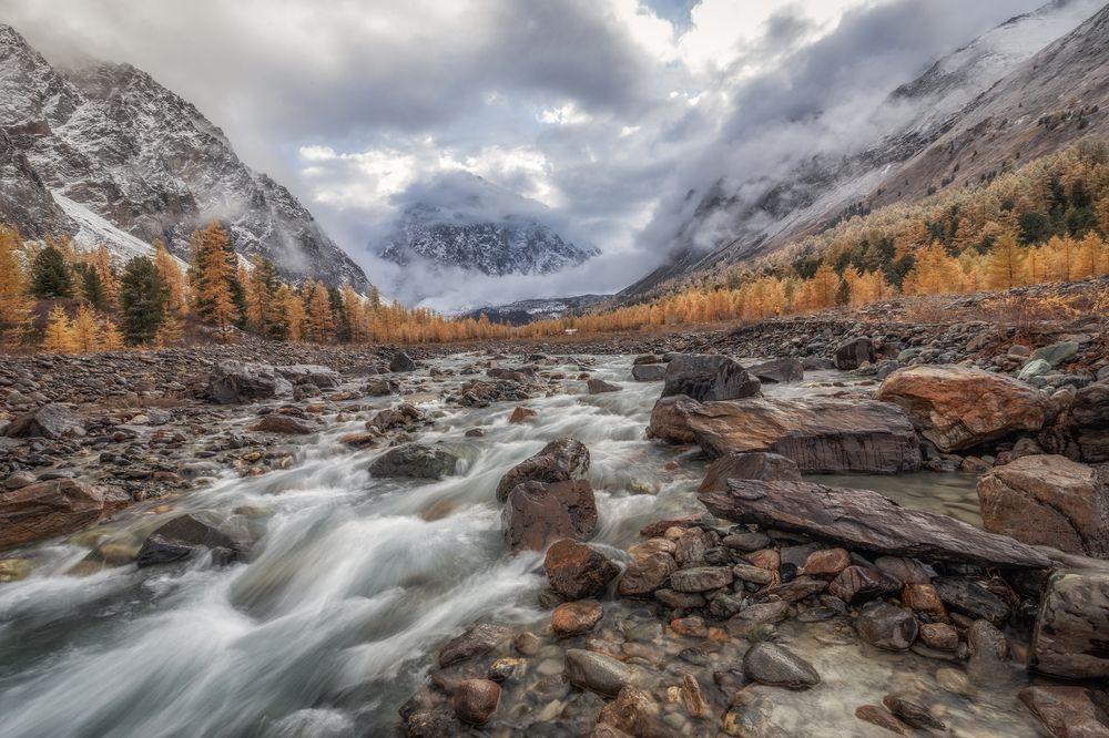 Photograph by Гусева Елена