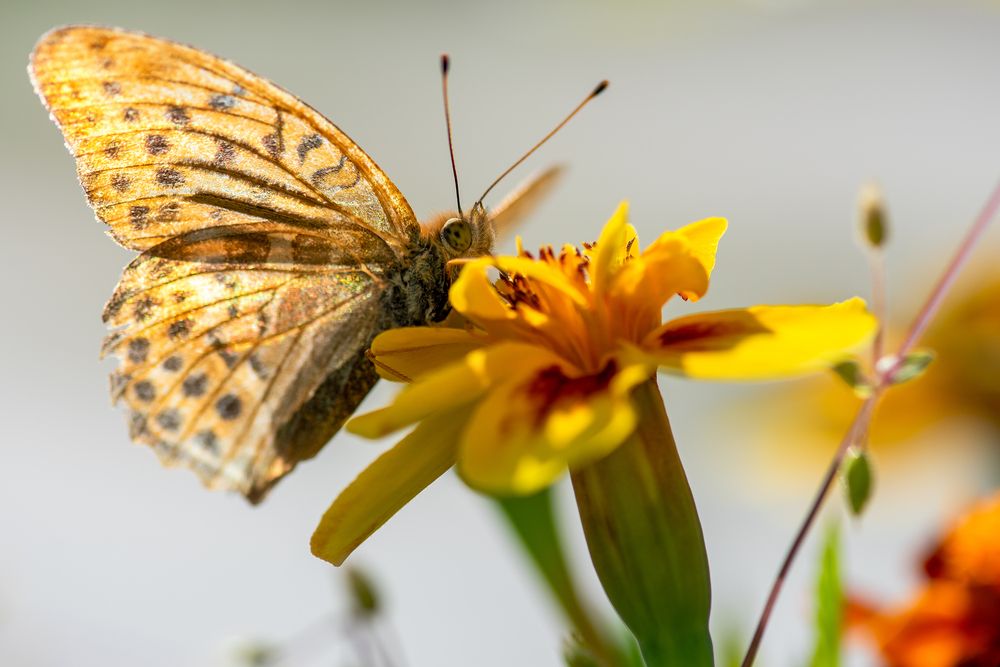 Photograph by Кадырова Марина