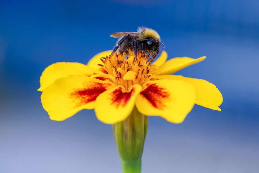 Photograph by Кадырова Марина