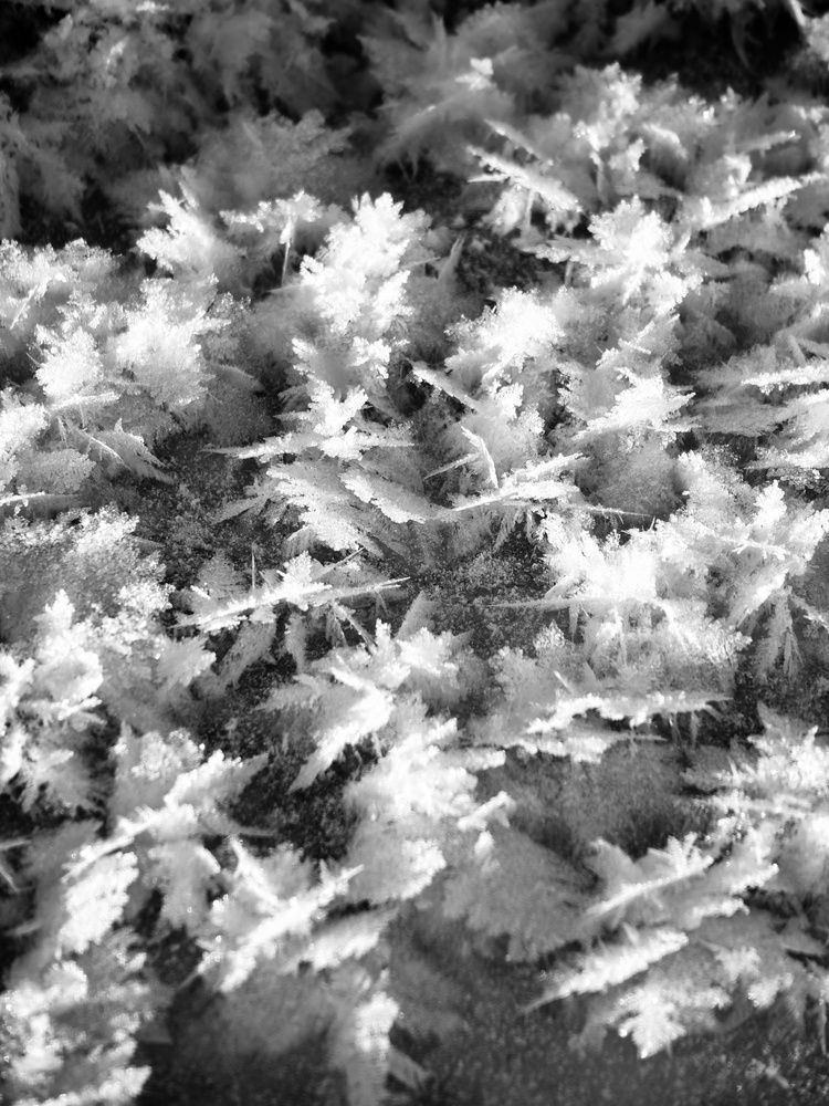 Photograph by Нина Кольман