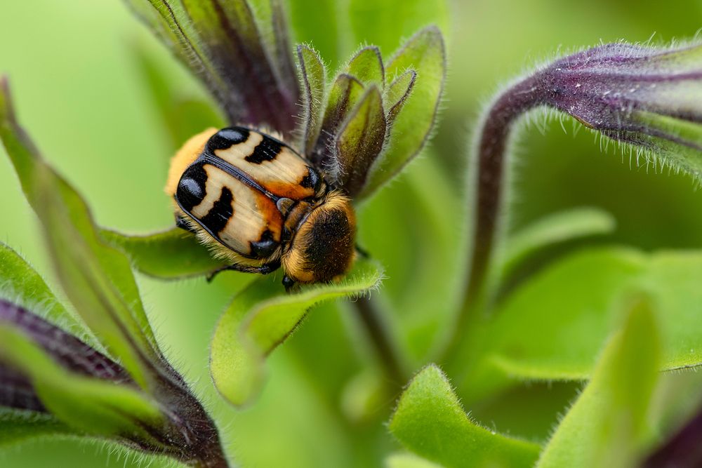 Photograph by Кадырова Марина