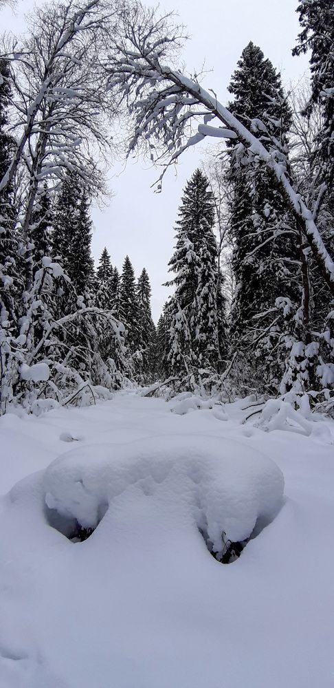 Фотография автора Наталья Липовская