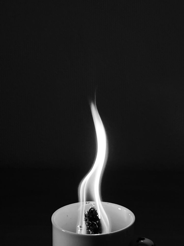 Photograph by Алина Волгина