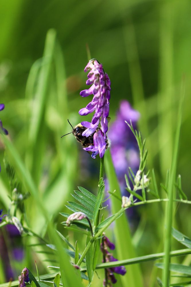 Photograph by Хельга Кольцова