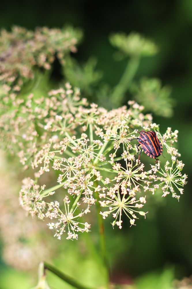 Photograph by Хельга Кольцова