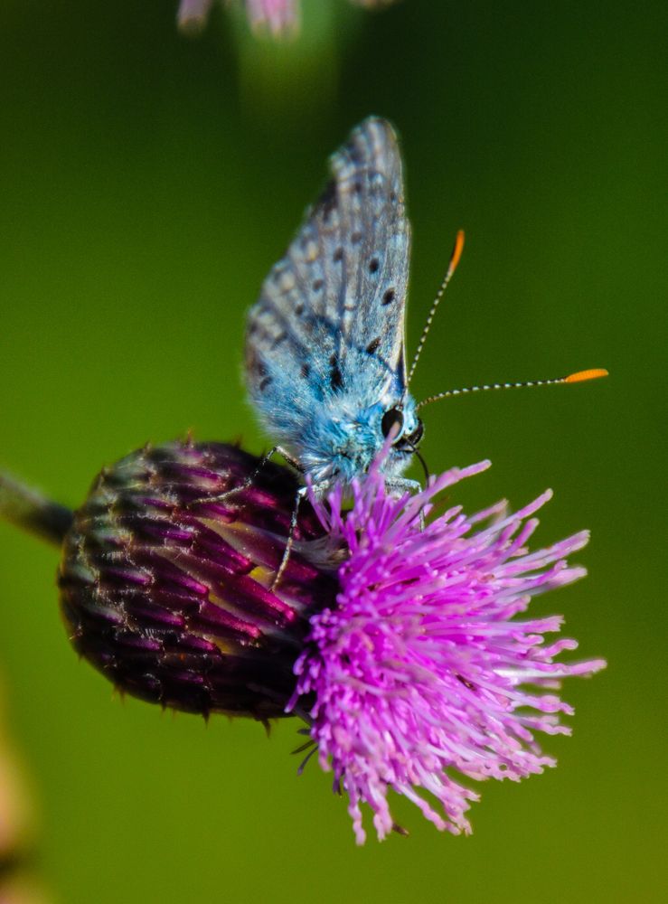 Photograph by Ольга Андронова