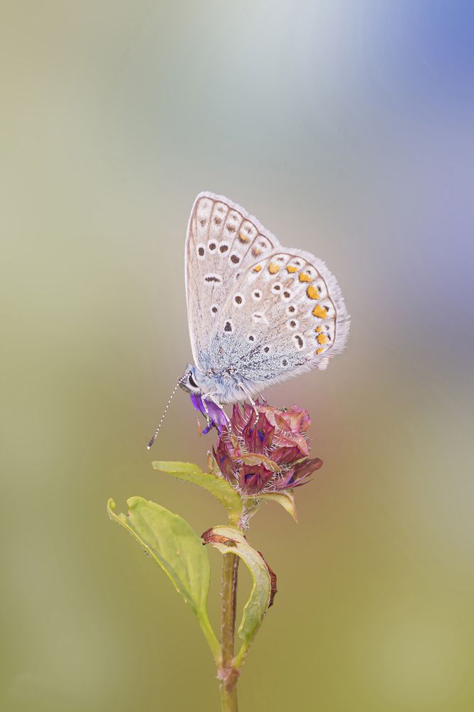 Photograph by Бурикова Екатерина