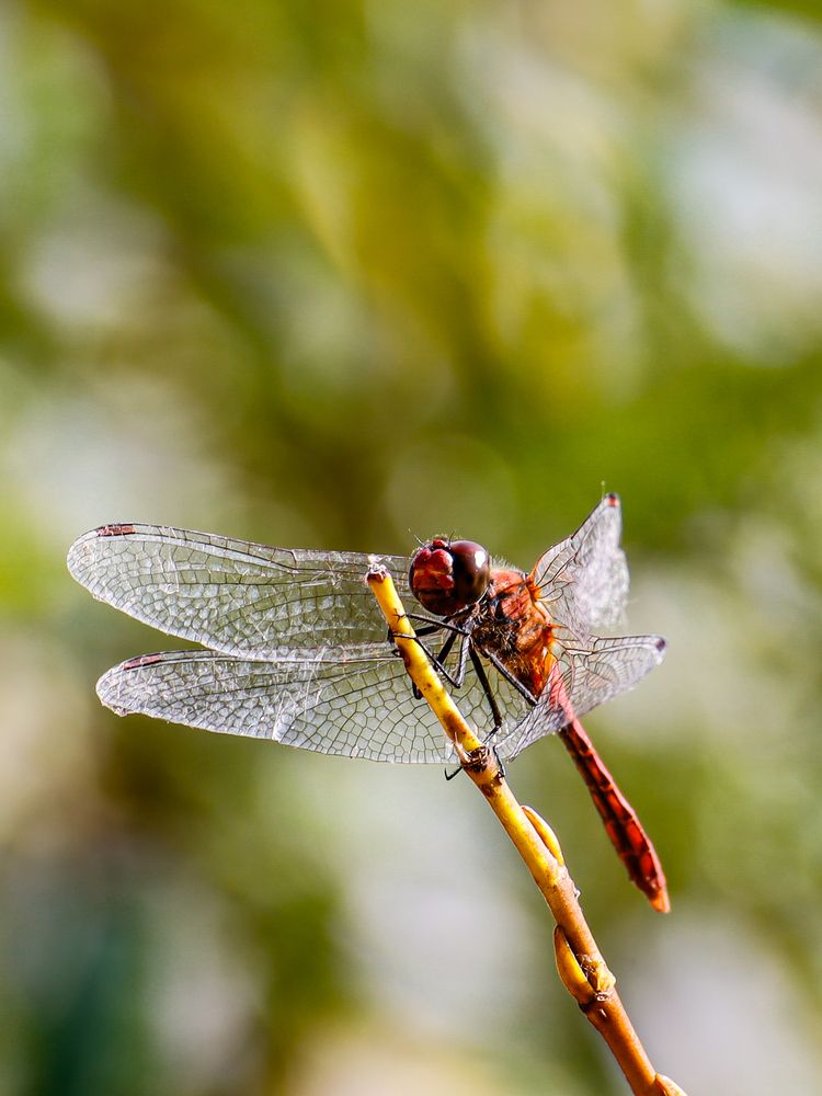 Photograph by Хельга Кольцова