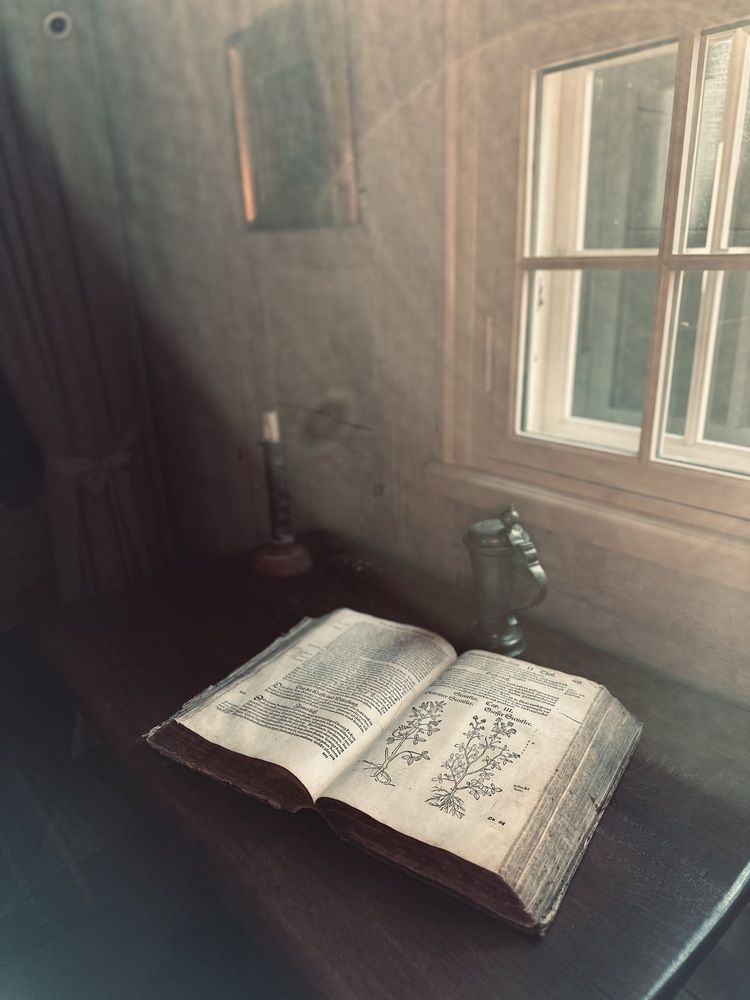 Photograph by Jekaterina Michejeva