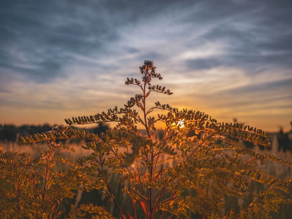 Photograph by Кирилл Сидоров