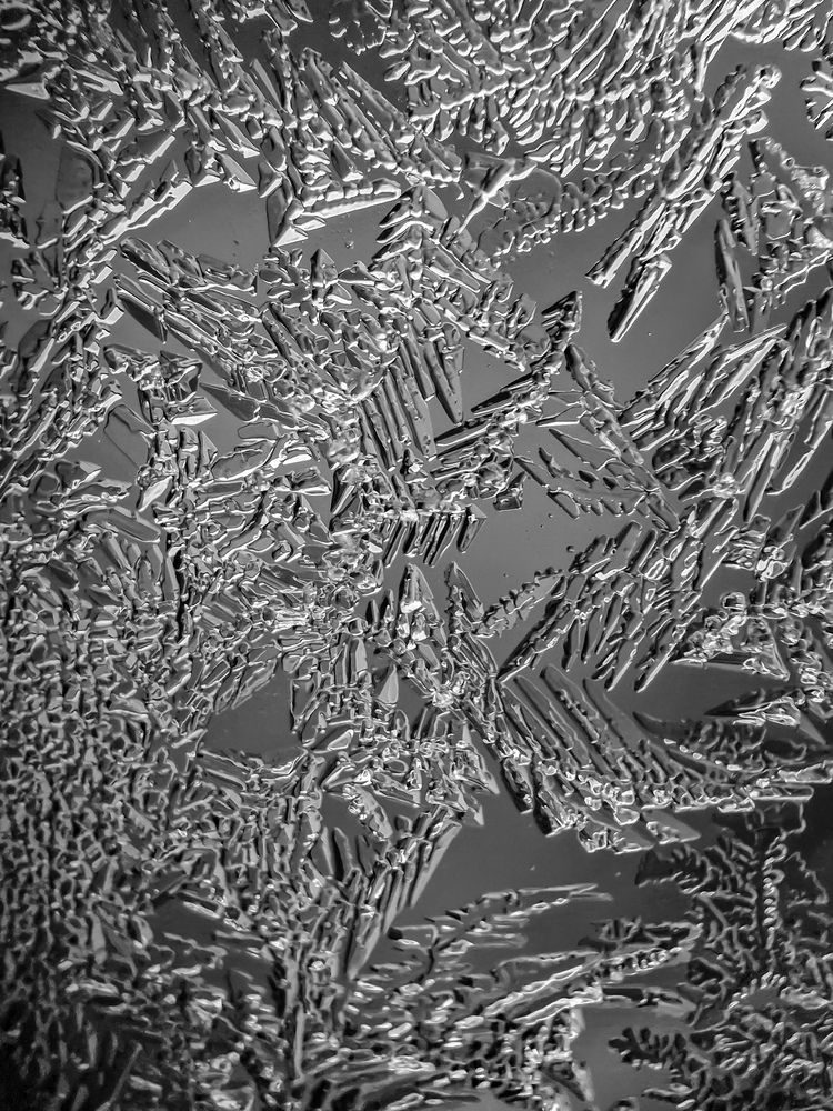 Photograph by Лариса Когтева