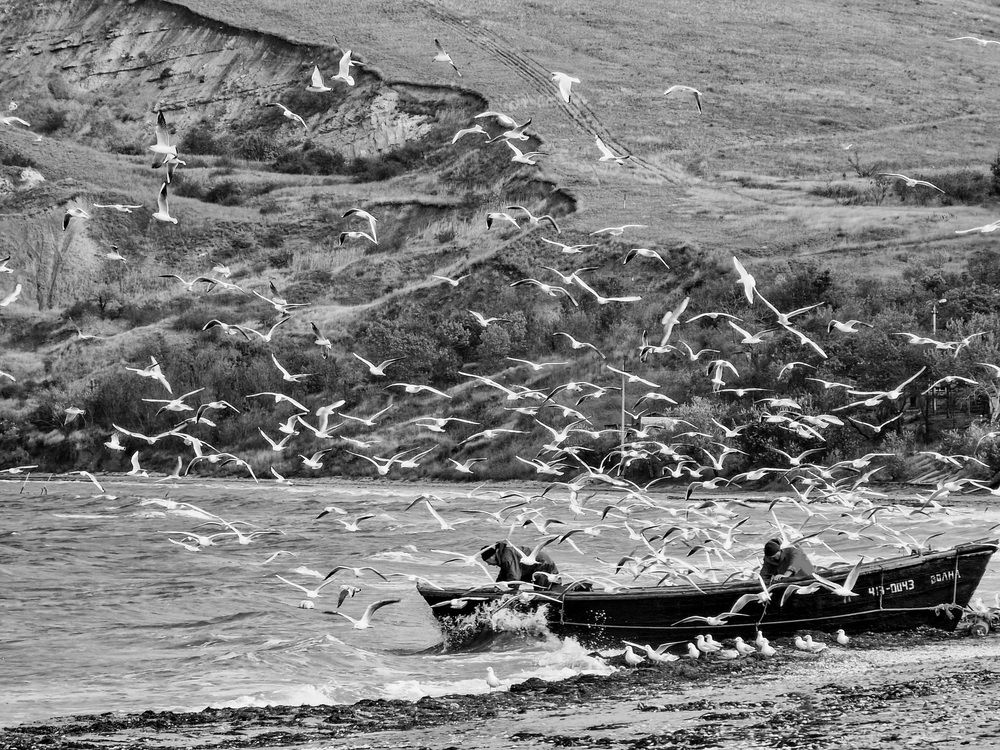 Photograph by Лариса Когтева