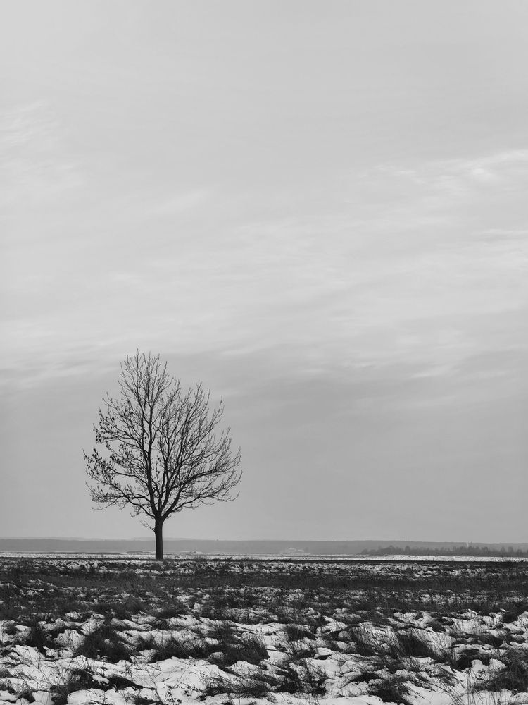 Photograph by Наталья Жуковская