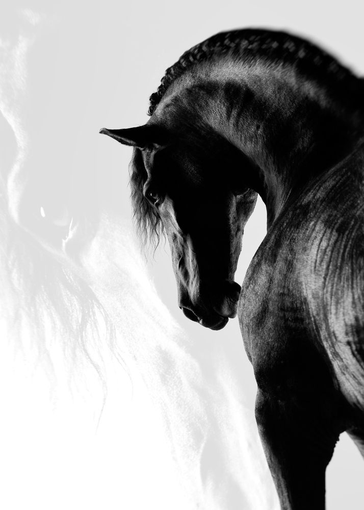 Photograph by Tony Mendes