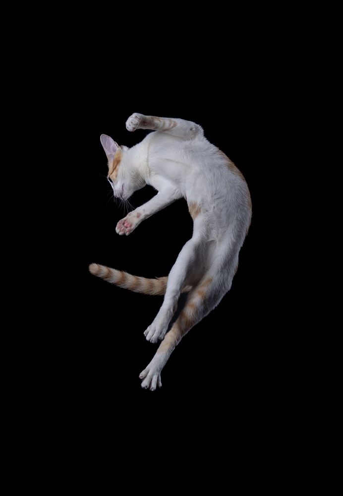 Photograph by Lion House