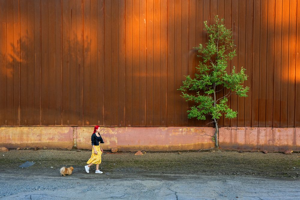 Photograph by ARTEM KORZHUKOV