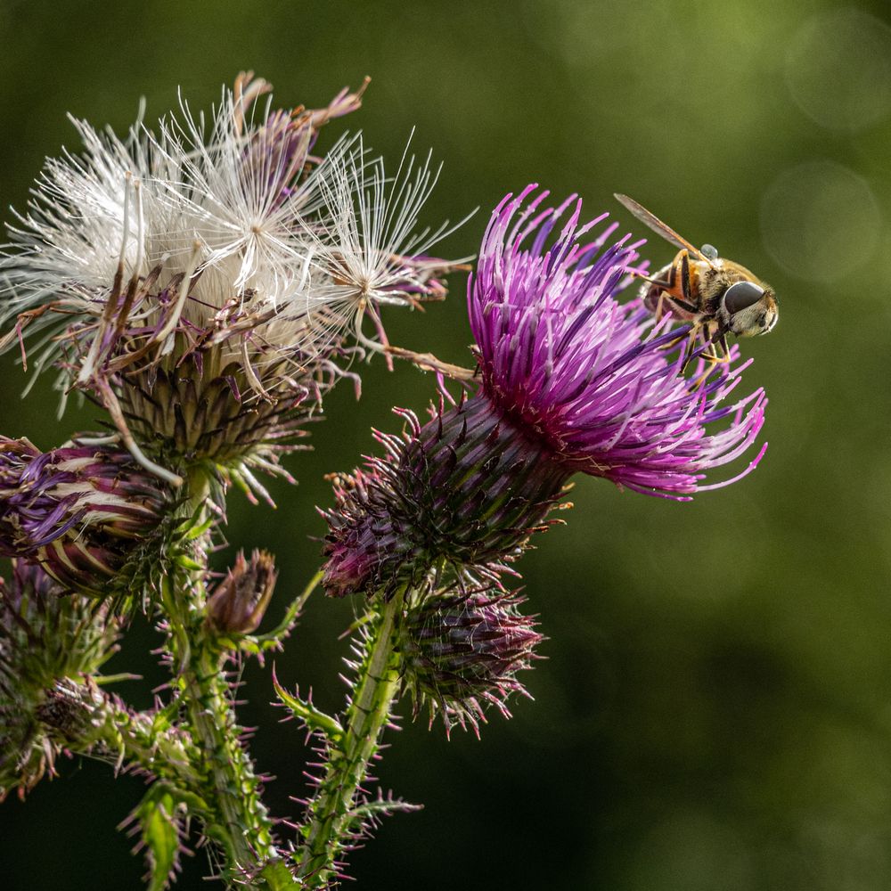 Photograph by Аркадий