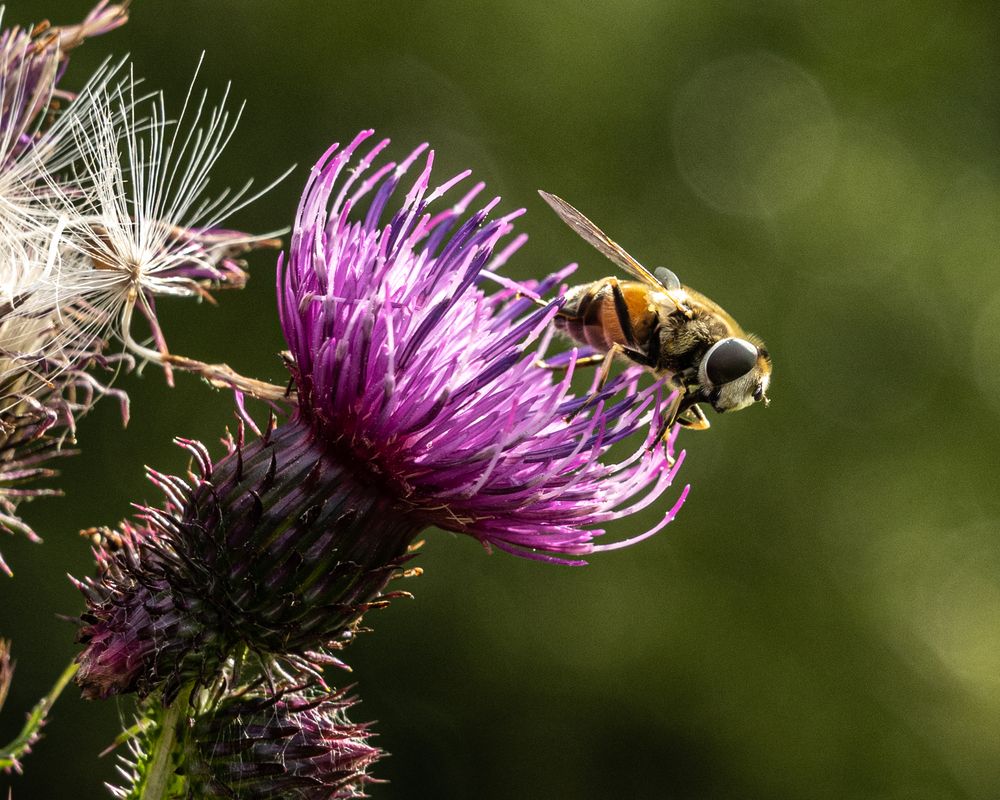 Photograph by Аркадий