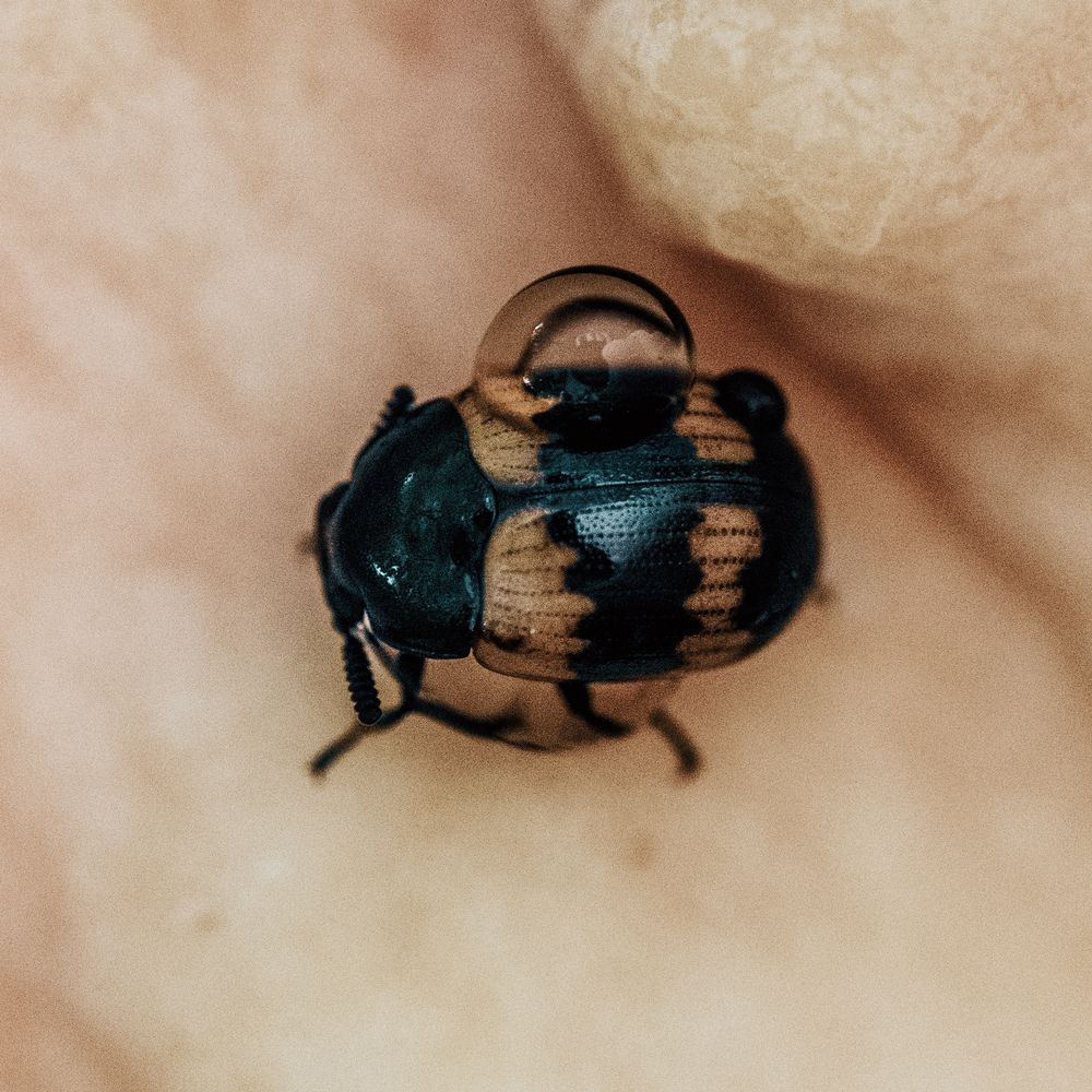 Photograph by Аркадий