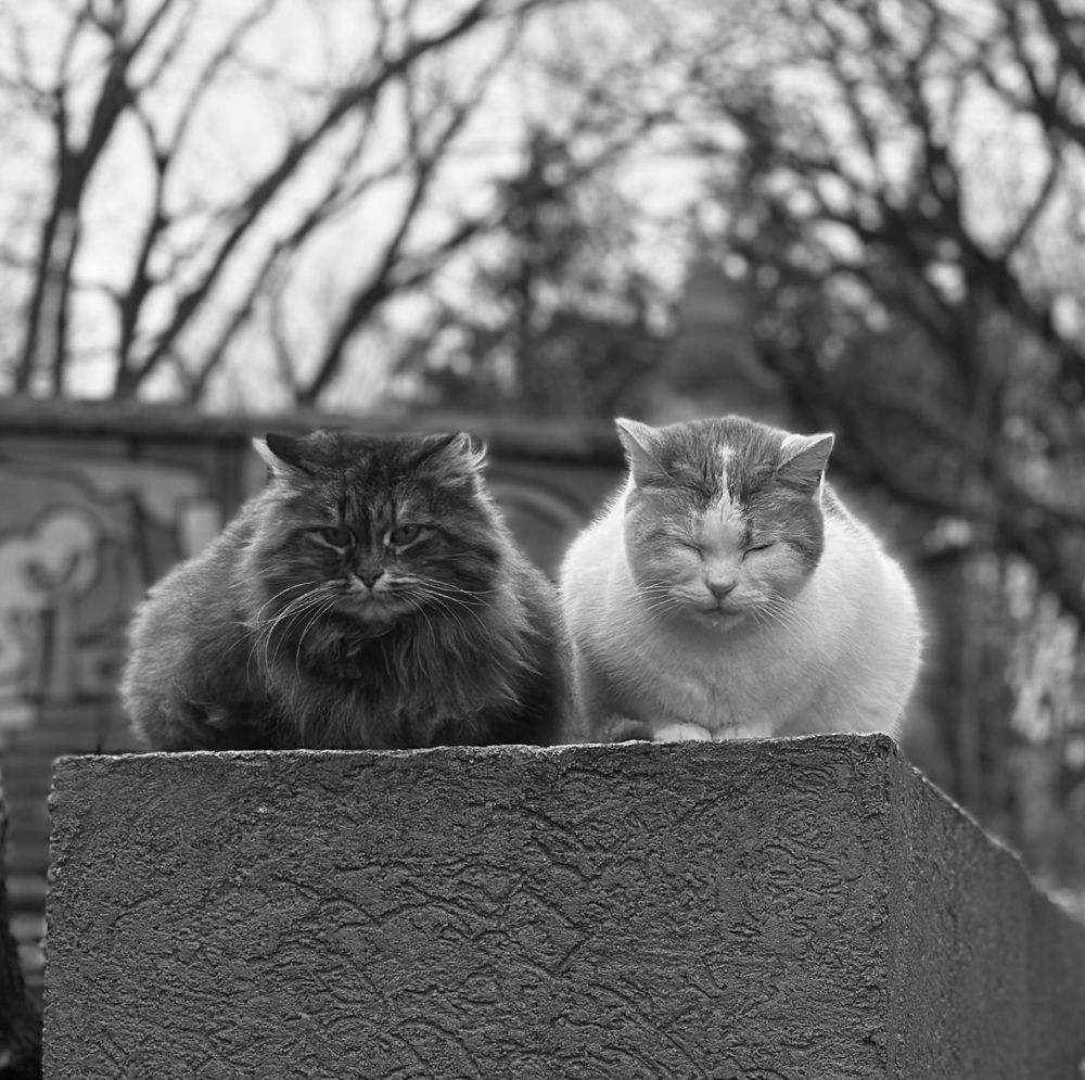 Photograph by Jekaterina Michejeva