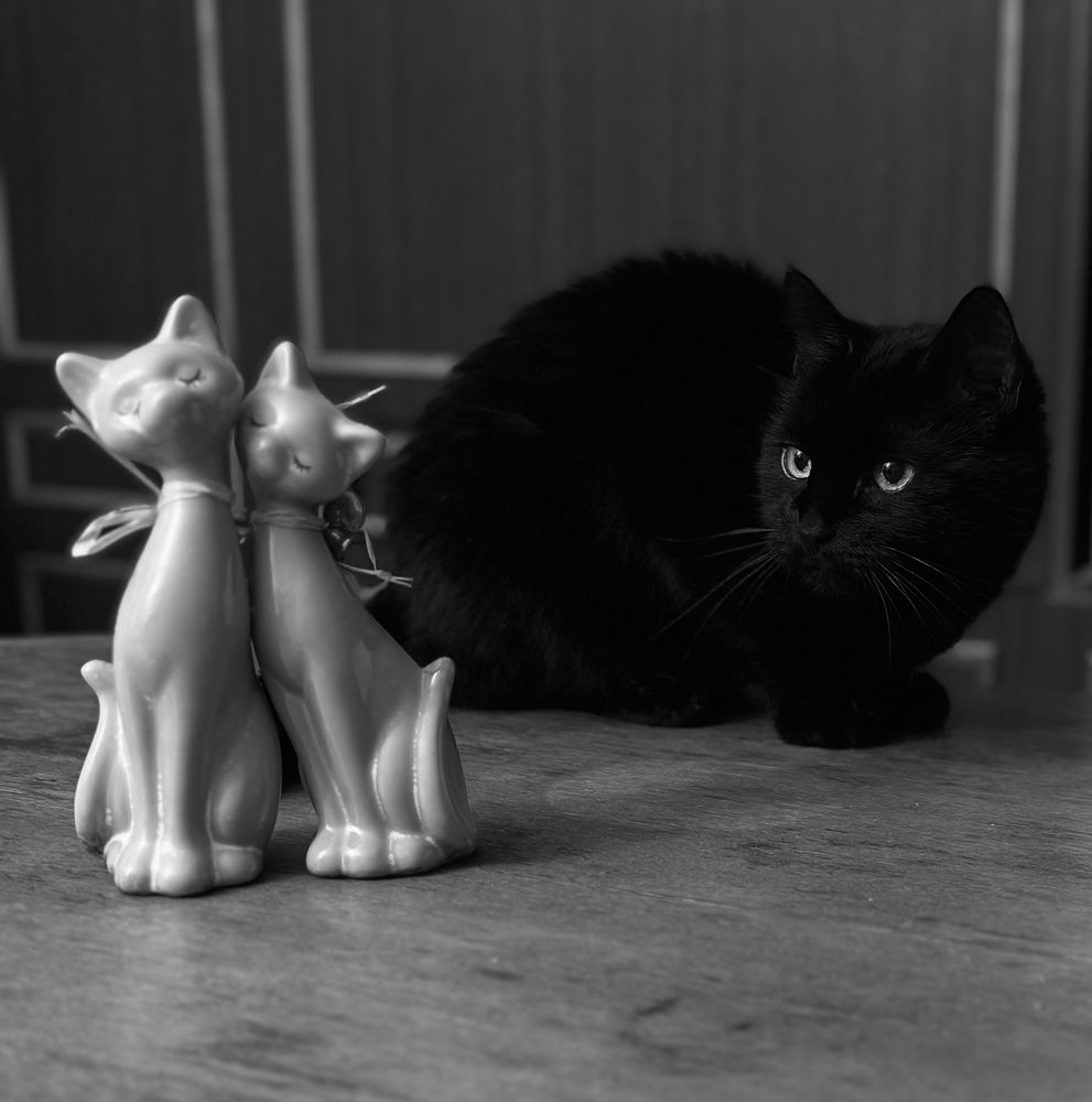 Photograph by Jekaterina Michejeva