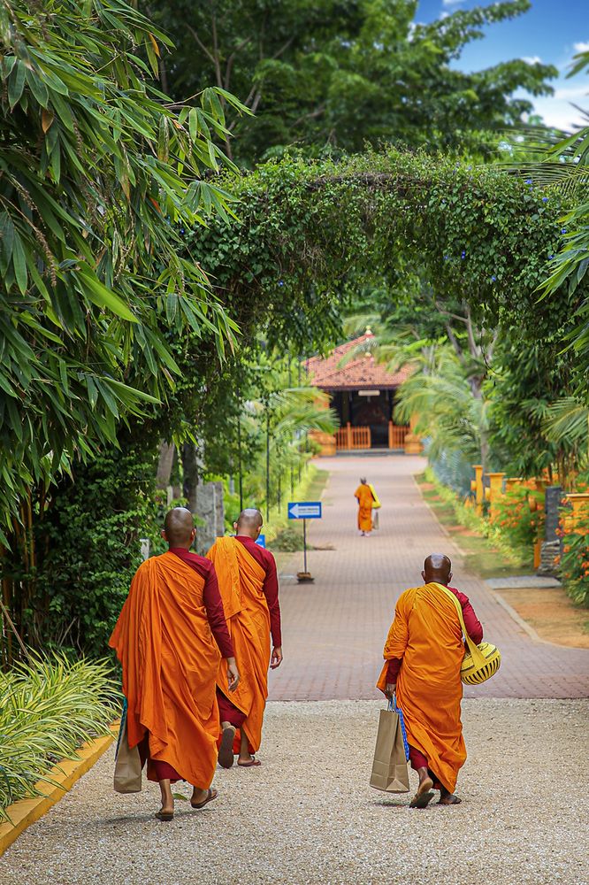 Фотография автора Manjula Perera