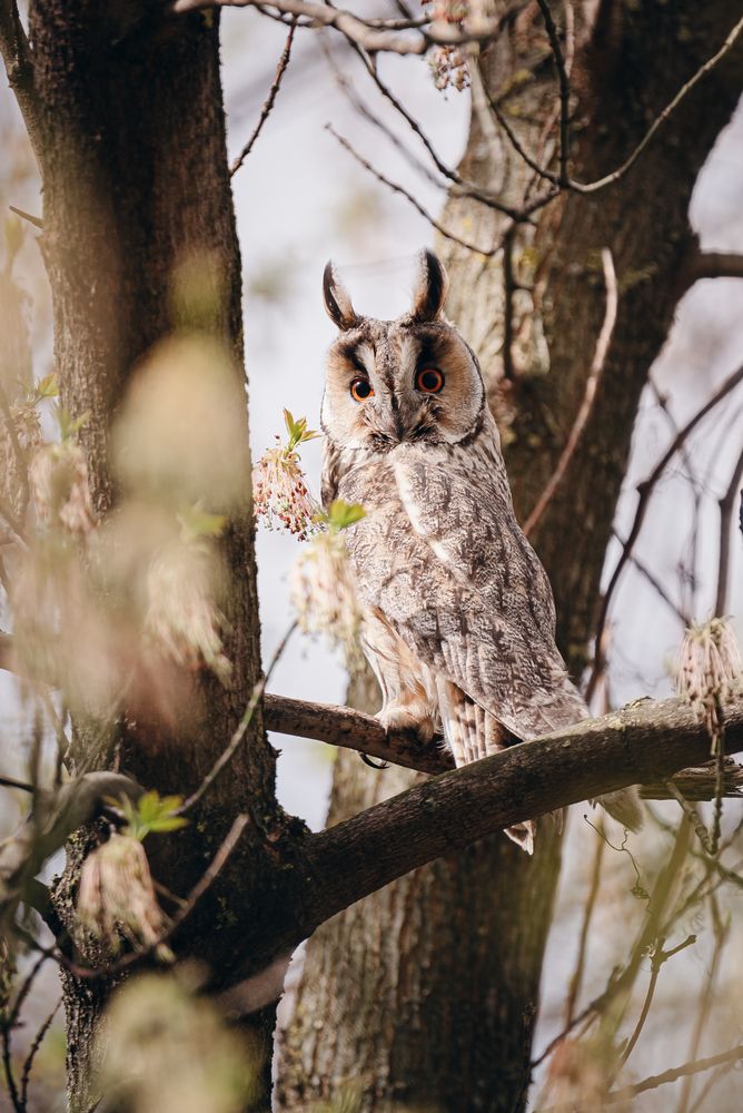 Photograph by Олег Гуляков